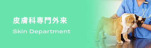 皮膚科専門外来
