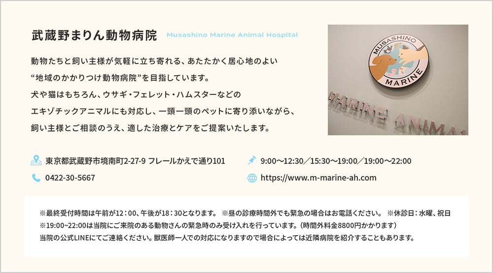 武蔵野まりん動物病院 動物たちと飼い主様が気軽に立ち寄れる、あたたかく居心地のよい地域のかかりつけ動物病院”を目指しています。犬や猫はもちろん、ウサギ・フェレット・ハムスターなどのエキゾチックアニマルにも対応し、一頭一頭のペットに寄り添いながら、飼い主様とご相談のうえ、適した治療とケアをご提案いたします。