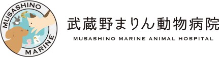 武蔵野まりん動物病院
